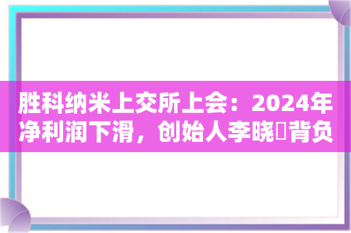 胜科纳米上交所上会：2024年净利润下滑，创始人李晓旻背负上亿元债务