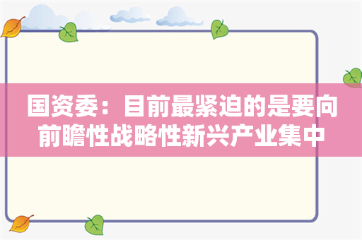 国资委：目前最紧迫的是要向前瞻性战略性新兴产业集中