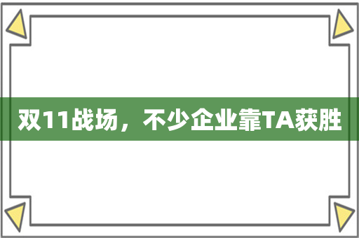 双11战场，不少企业靠TA获胜