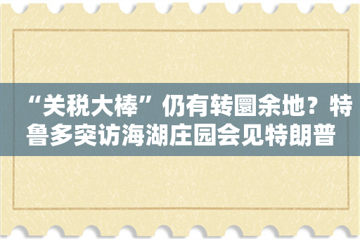 “关税大棒”仍有转圜余地？特鲁多突访海湖庄园会见特朗普