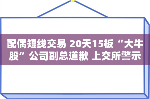 配偶短线交易 20天15板“大牛股”公司副总道歉 上交所警示！