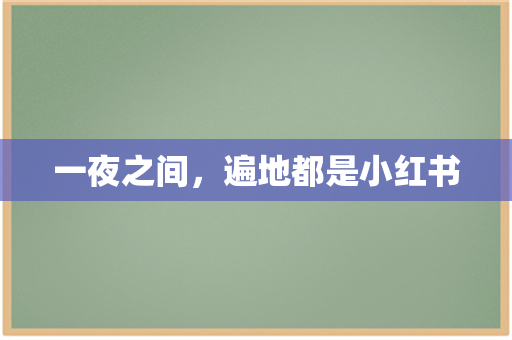 一夜之间，遍地都是小红书