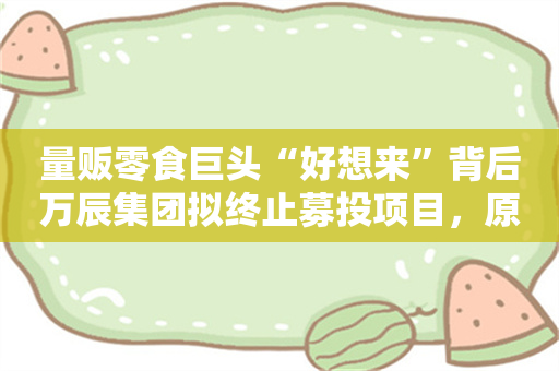 量贩零食巨头“好想来”背后万辰集团拟终止募投项目，原因是资金压力