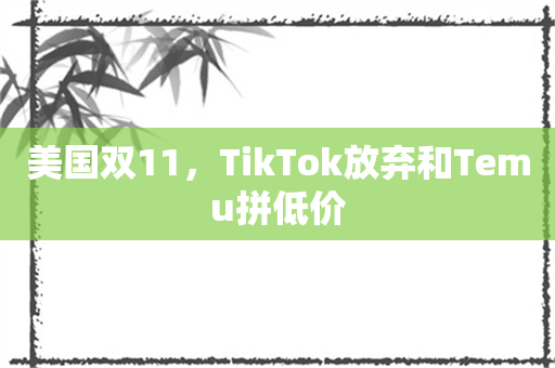 美国双11，TikTok放弃和Temu拼低价