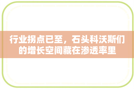 行业拐点已至，石头科沃斯们的增长空间藏在渗透率里