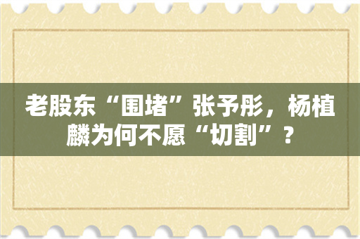 老股东“围堵”张予彤，杨植麟为何不愿“切割”？