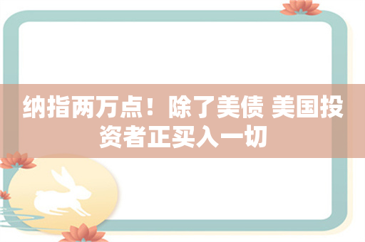 纳指两万点！除了美债 美国投资者正买入一切