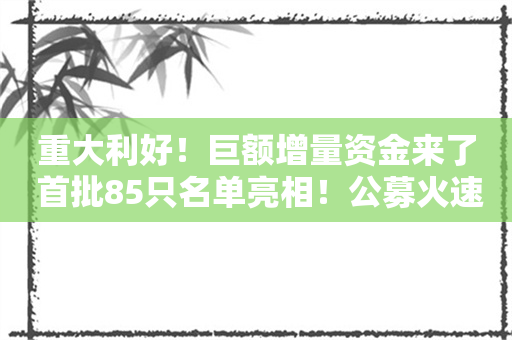 重大利好！巨额增量资金来了 首批85只名单亮相！公募火速解读