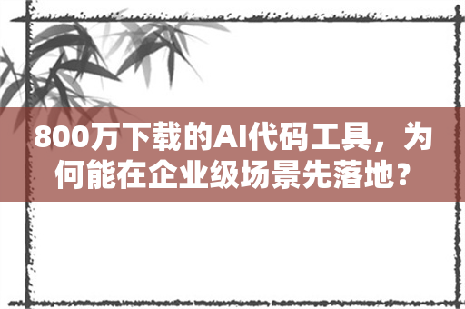 800万下载的AI代码工具，为何能在企业级场景先落地？