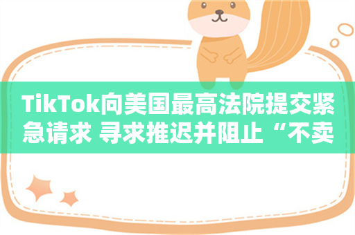 TikTok向美国最高法院提交紧急请求 寻求推迟并阻止“不卖就禁”法案