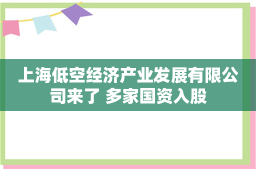 上海低空经济产业发展有限公司来了 多家国资入股