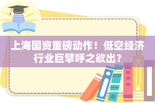 上海国资重磅动作！低空经济行业巨擘呼之欲出？