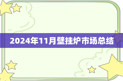 2024年11月壁挂炉市场总结