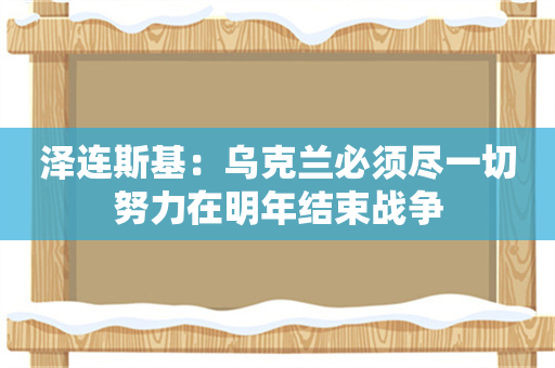 泽连斯基：乌克兰必须尽一切努力在明年结束战争