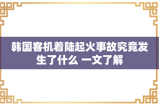 韩国客机着陆起火事故究竟发生了什么 一文了解