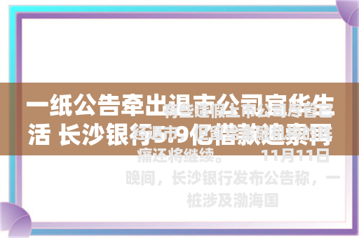 一纸公告牵出退市公司宜华生活 长沙银行5.9亿借款追索再生波折 多家金融机构均踩雷