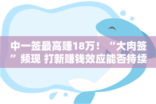 中一签最高赚18万！“大肉签”频现 打新赚钱效应能否持续？