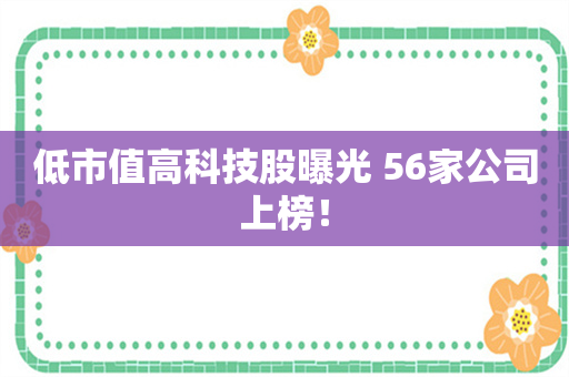 低市值高科技股曝光 56家公司上榜！