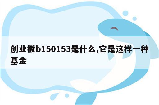 创业板b150153是什么,它是这样一种基金