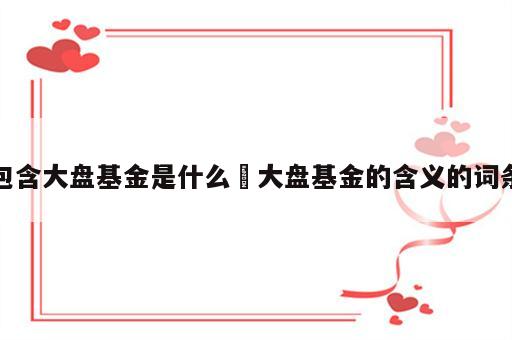 包含大盘基金是什么 大盘基金的含义的词条