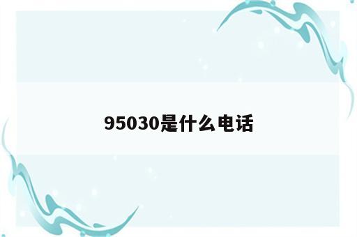 95030是什么电话