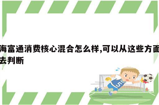 海富通消费核心混合怎么样,可以从这些方面去判断