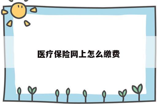 医疗保险网上怎么缴费