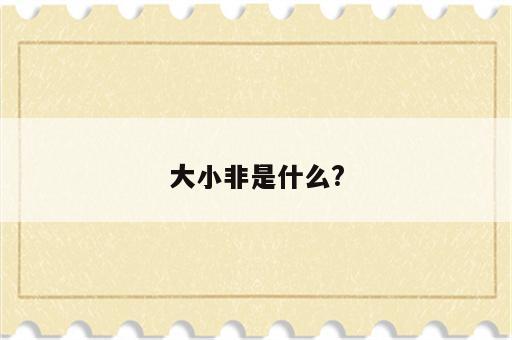 大小非是什么?