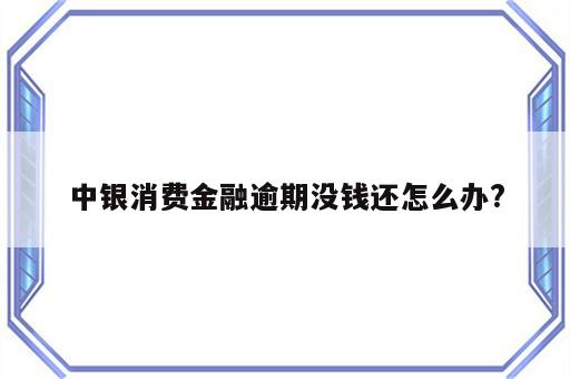 中银消费金融逾期没钱还怎么办?