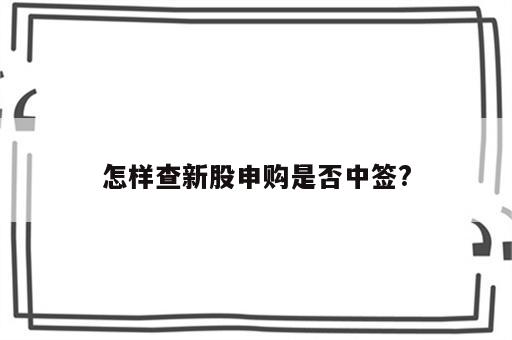 怎样查新股申购是否中签?