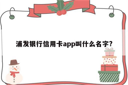 浦发银行信用卡app叫什么名字?