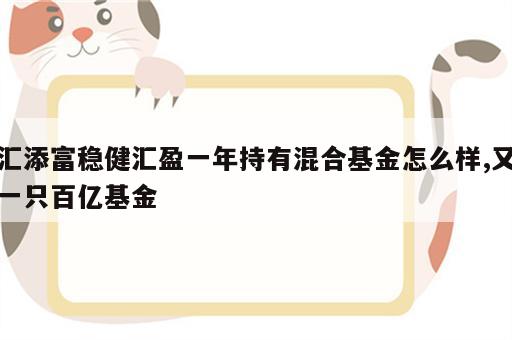 汇添富稳健汇盈一年持有混合基金怎么样,又一只百亿基金