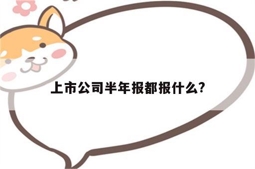 上市公司半年报都报什么?