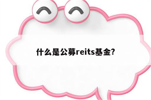 什么是公募reits基金?