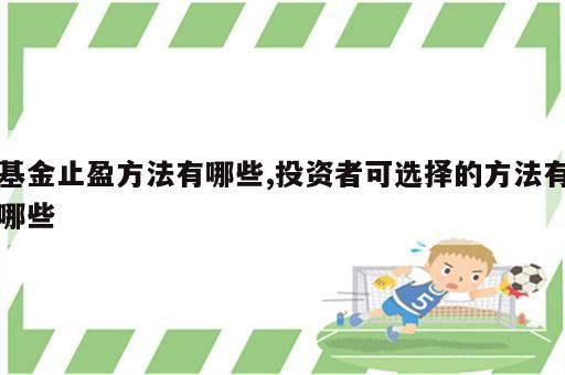 基金止盈方法有哪些,投资者可选择的方法有哪些