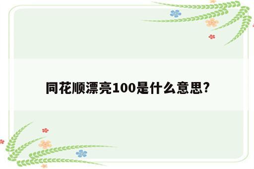 同花顺漂亮100是什么意思?