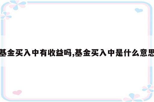 基金买入中有收益吗,基金买入中是什么意思