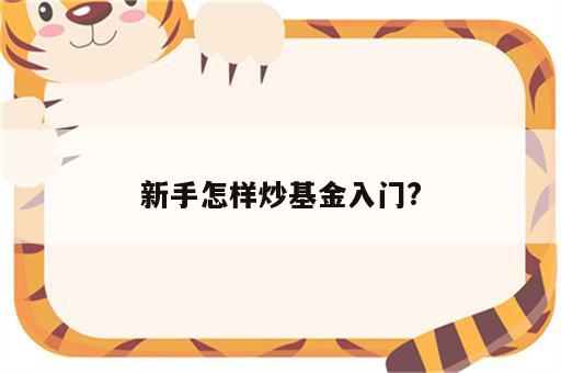 新手怎样炒基金入门?