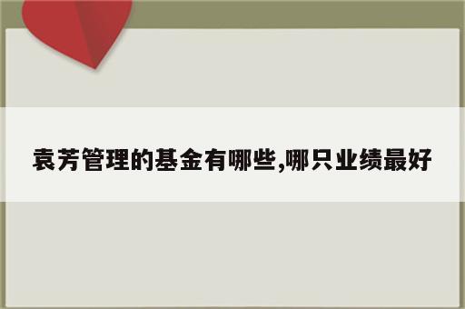 袁芳管理的基金有哪些,哪只业绩最好