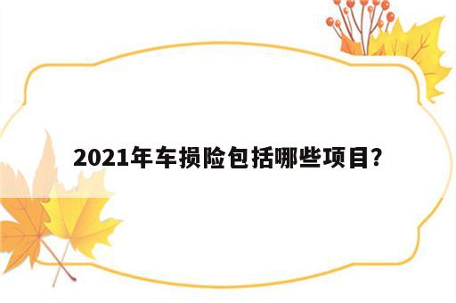 2021年车损险包括哪些项目？