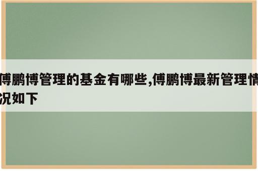 傅鹏博管理的基金有哪些,傅鹏博最新管理情况如下