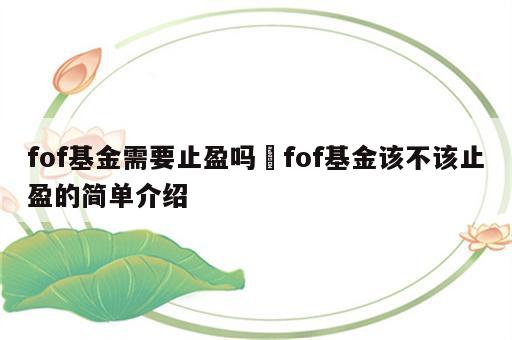 fof基金需要止盈吗 fof基金该不该止盈的简单介绍