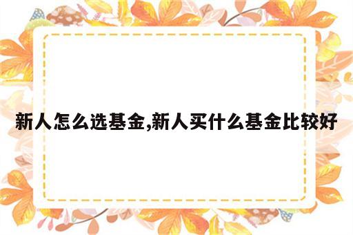 新人怎么选基金,新人买什么基金比较好