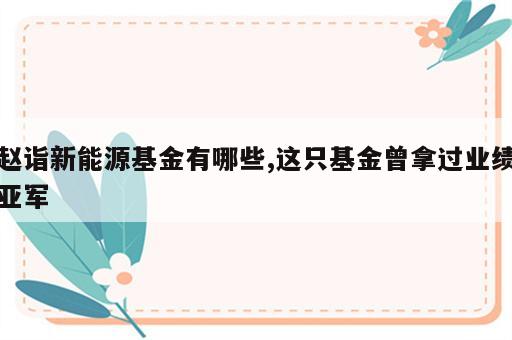 赵诣新能源基金有哪些,这只基金曾拿过业绩亚军