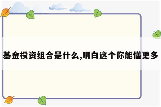 基金投资组合是什么,明白这个你能懂更多