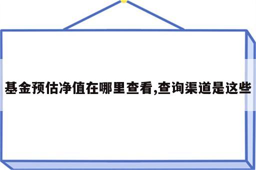 基金预估净值在哪里查看,查询渠道是这些