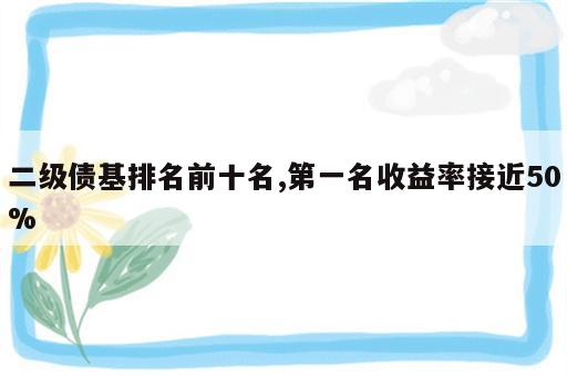 二级债基排名前十名,第一名收益率接近50%