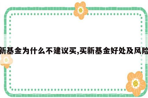 新基金为什么不建议买,买新基金好处及风险